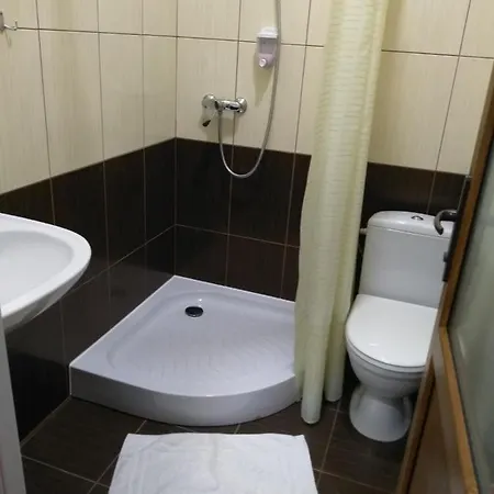 Hotel Vizit *