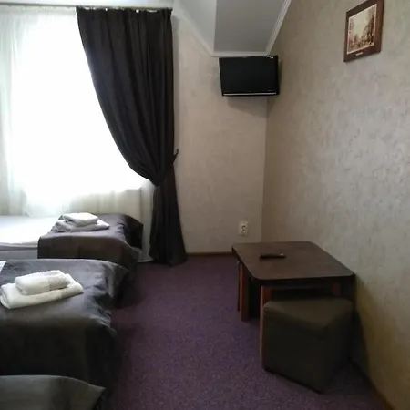 Hotel Vizit Stryi